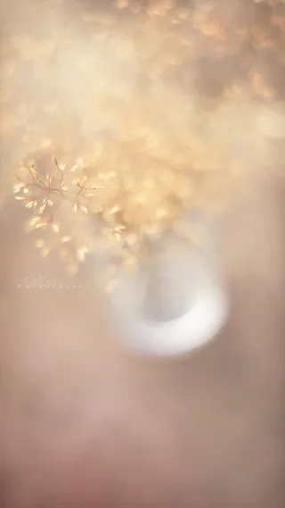 简约文艺淡雅微信H5背景素材高清