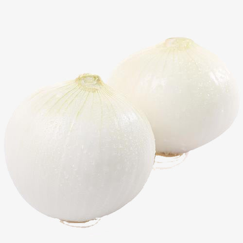 白洋葱蔬菜免抠