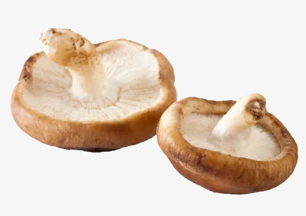2个香菇免抠