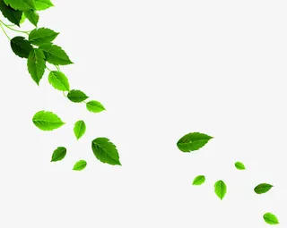树叶漂浮元素免抠