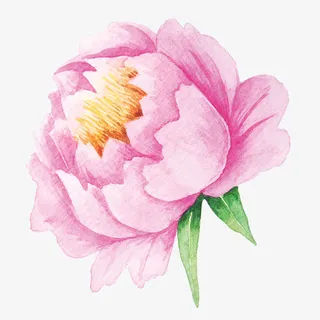 美丽的春天背景和手绘的花朵 美丽的春天背景和手绘的花朵