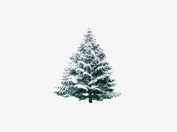 树上的雪免抠