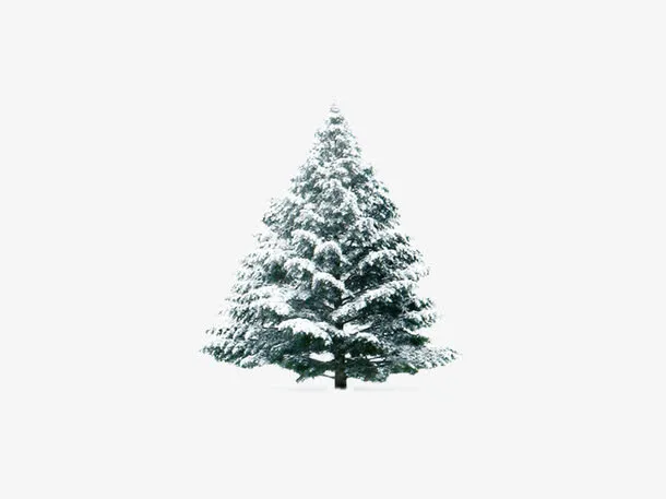 树上的雪免抠