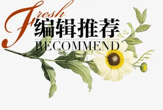 编辑推荐免抠