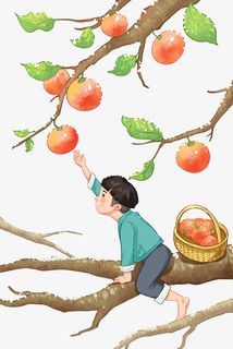 霜降柿子秋天秋树叶落叶元素免抠