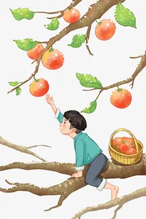 霜降柿子秋天秋树叶落叶元素免抠