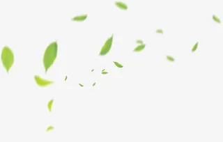 漂浮绿叶免抠
