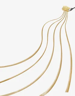 创意叉子上的面条免抠