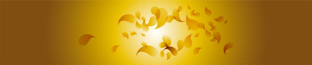 大气banner