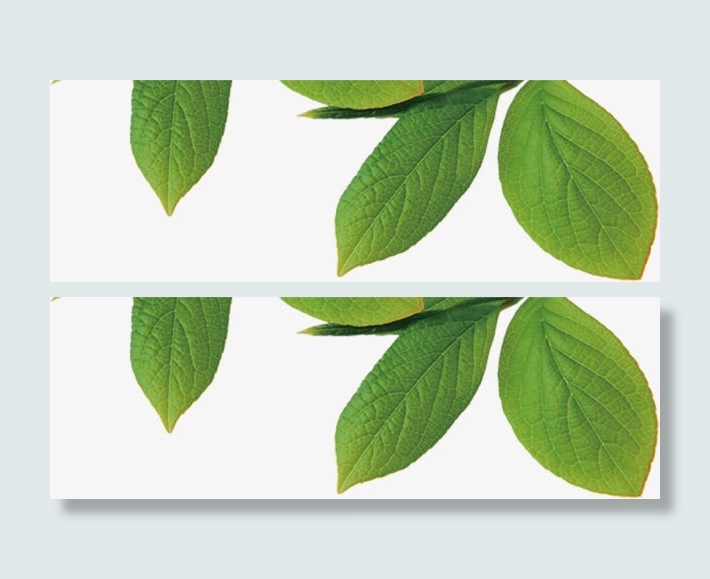 春天绿色环保植物绿叶免抠