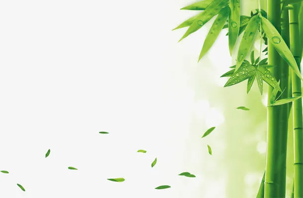 环保素材竹子叶落免抠
