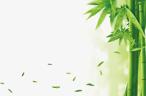 环保素材竹子叶落免抠 环保素材竹子叶落免抠