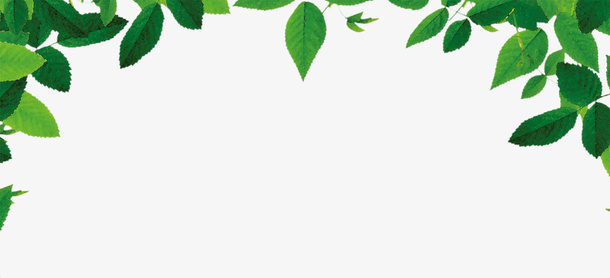 树叶免抠