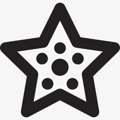 Summer Starfish 图标免抠