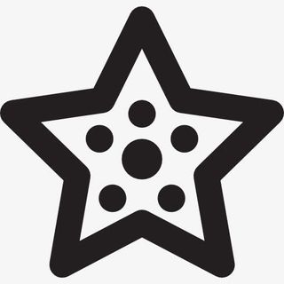 Summer Starfish 图标免抠