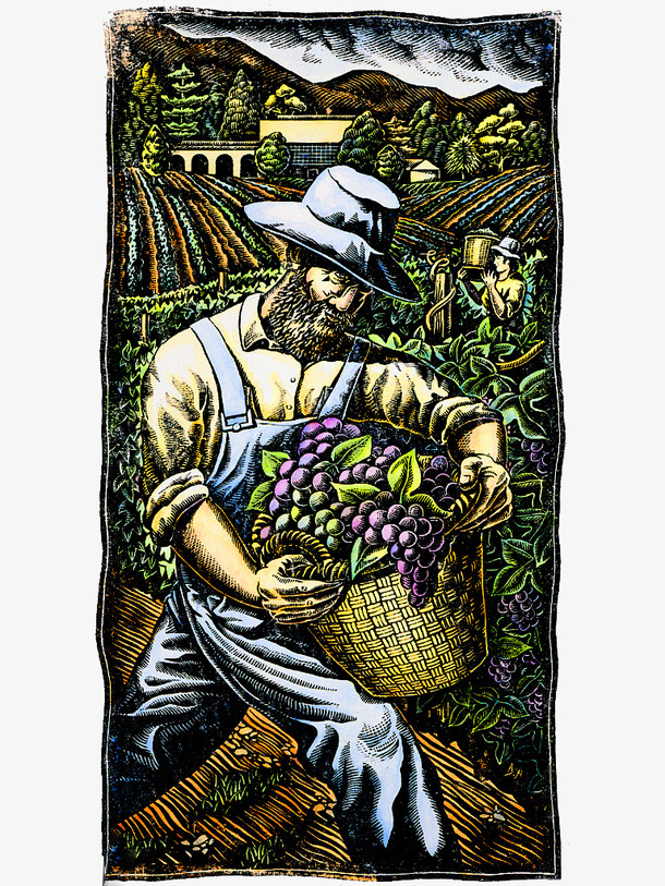 装饰插画农地收获的农地插画免抠