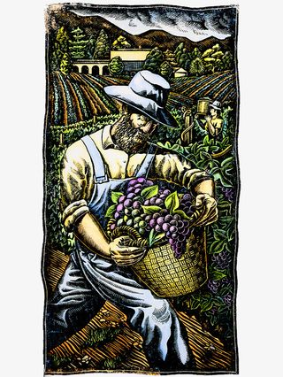 装饰插画农地收获的农地插画免抠