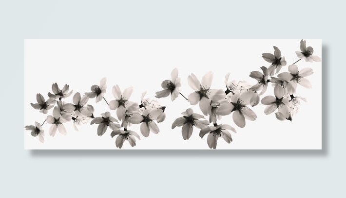 白色布艺花朵白玉兰免抠