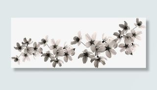 白色布艺花朵白玉兰免抠