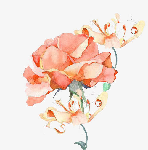 粉色鲜花免抠