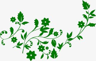 春天手绘绿叶植物免抠