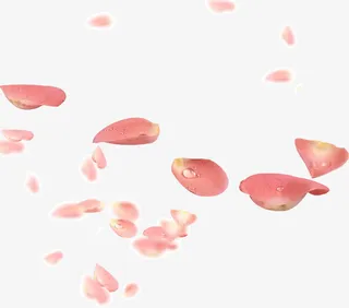 飘飞的花瓣免抠