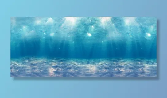 海底高清 海底高清