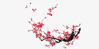 中国风传统水墨梅花免抠