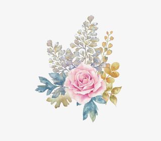 水彩花朵装饰素材免抠