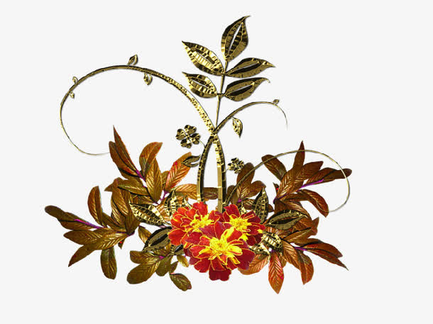 花瓣免抠