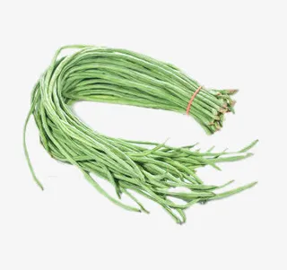 特供长豆角免抠