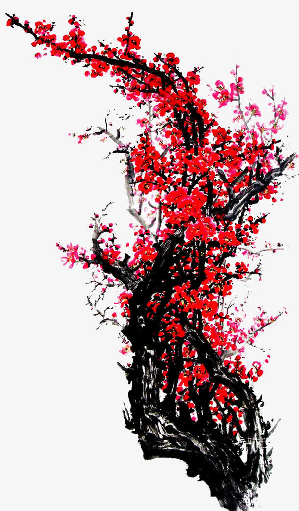 中国国花免抠