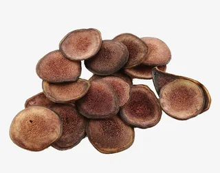 蜡片入药梅花鹿血片鹿茸免抠