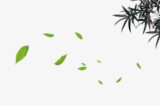 漂浮树叶免抠