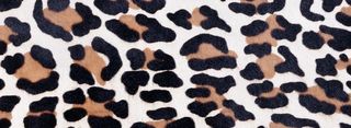 动物皮毛纹理背景高清