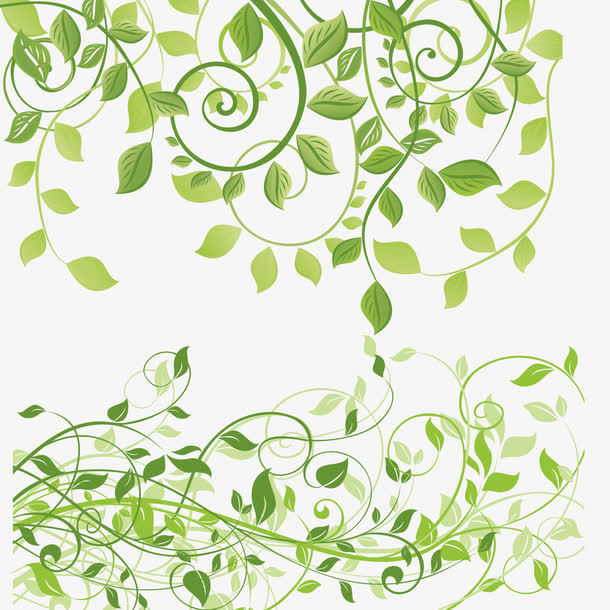 矢量艺术植物藤条免抠