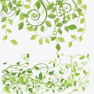 矢量艺术植物藤条免抠