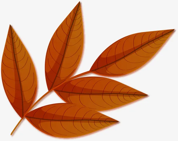 秋天干枯的枝叶免抠