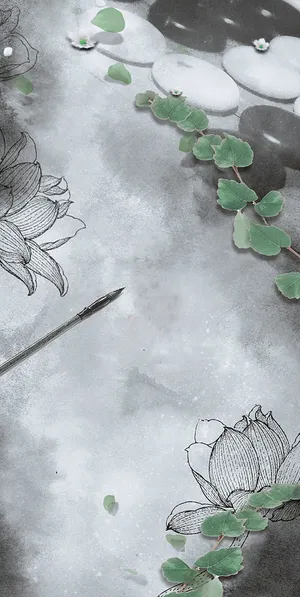 莲花鹅卵石养生海报背景素材高清