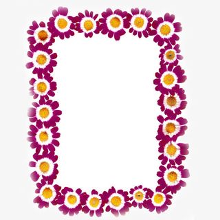 鲜花边框免抠