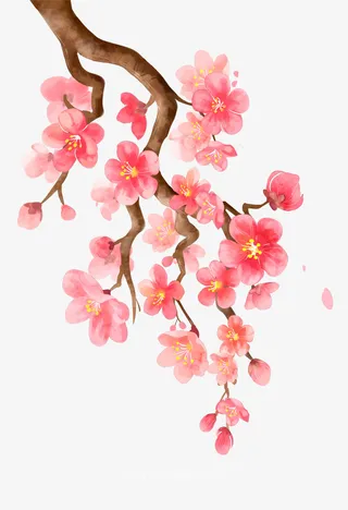 粉色桃花素材免抠手绘/卡通手绘元素