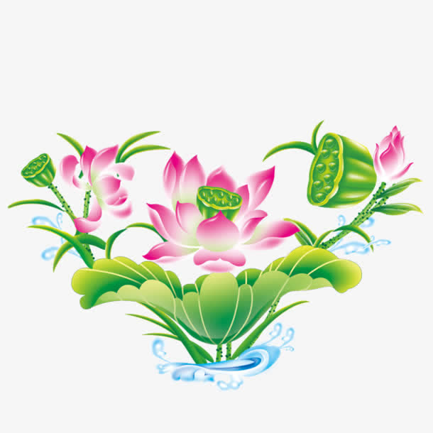 荷花莲藕荷叶手绘免抠