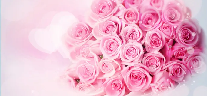 玫瑰浪漫情人节背景高清