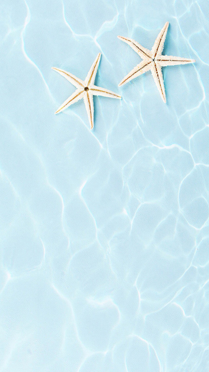 简约清爽水波海星背景高清