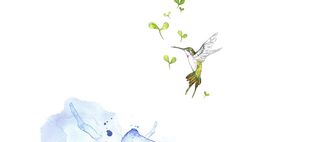 小鸟简约纹理质感图高清