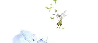 小鸟简约纹理质感图高清