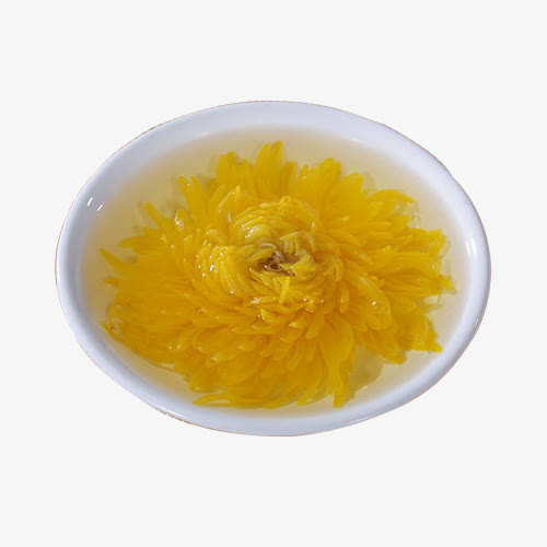 大菊花茶一朵一杯免抠