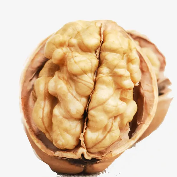 纸皮核桃免抠