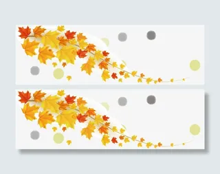 秋天 树叶 落叶 暖色金黄色免抠