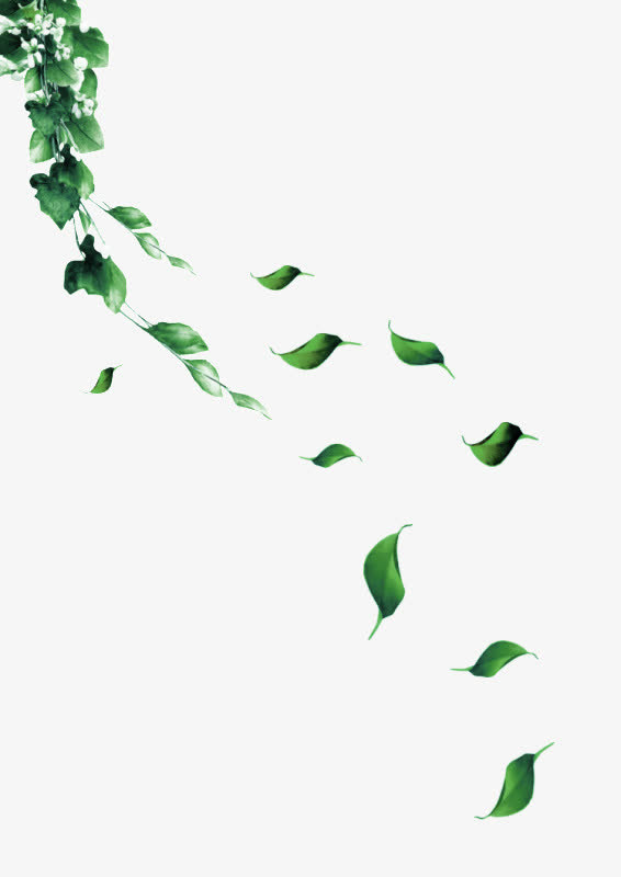 绿色手绘藤蔓树叶漂浮素材免抠